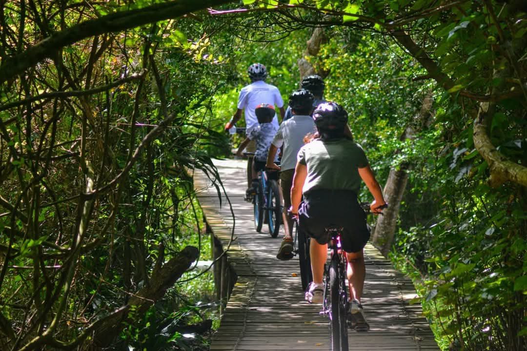 BICYCLE TOURS