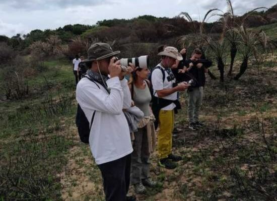 ZULU TOURS